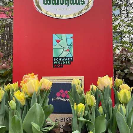 מלון Schwarzwaelder Hof אכרן