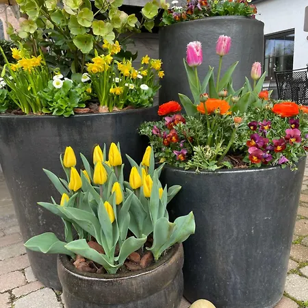 Schwarzwaelder Hof Otel Achern