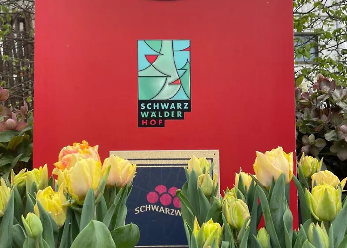 Отель Schwarzwaelder Hof Ахерн