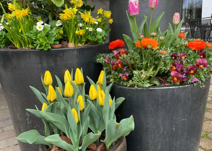 Schwarzwaelder Hof Отель Ахерн